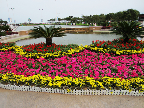十一假期海邊、天馬島兩日游