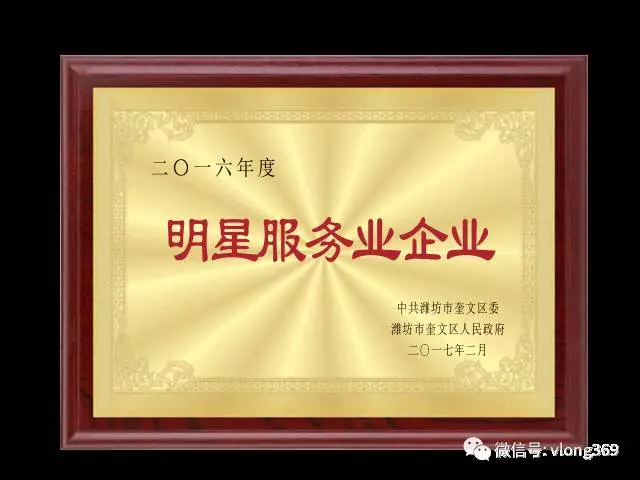 濰坊威龍電子商務(wù)科技有限公司獲得“2016年度明星服務(wù)業(yè)企業(yè)”稱號(hào)