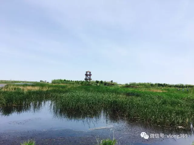 “威龍夏日行”之---禹王濕地?zé)?>
                                    </div>
                                    <div   id=