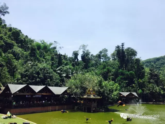 濰坊威龍電子商務(wù)精英團(tuán)—云南雙飛6日游