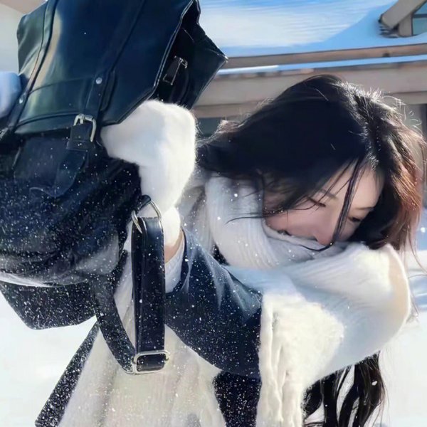 影之车